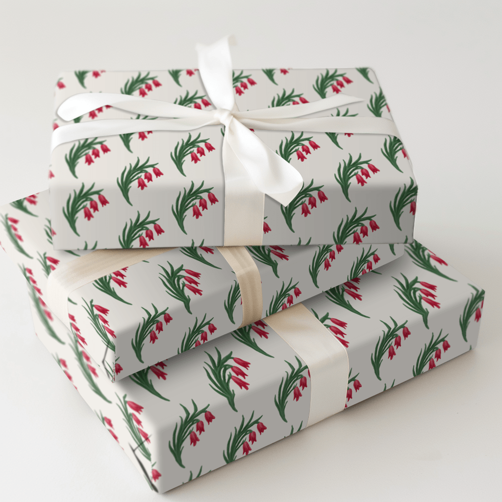 Amber Amaryllis - Wrapping Paper - Aspen & Arlo