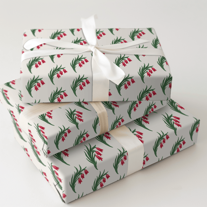 Amber Amaryllis - Wrapping Paper - Aspen & Arlo