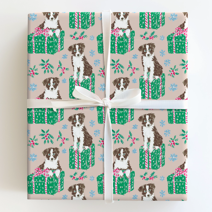 Border Collie for Christmas