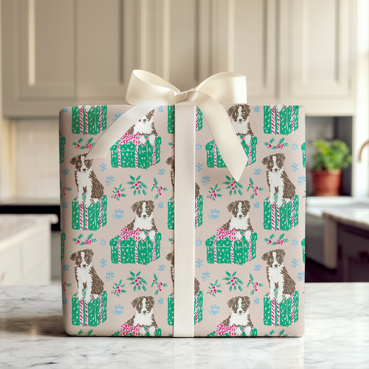 Border Collie for Christmas