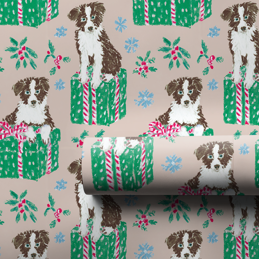 Border Collie for Christmas