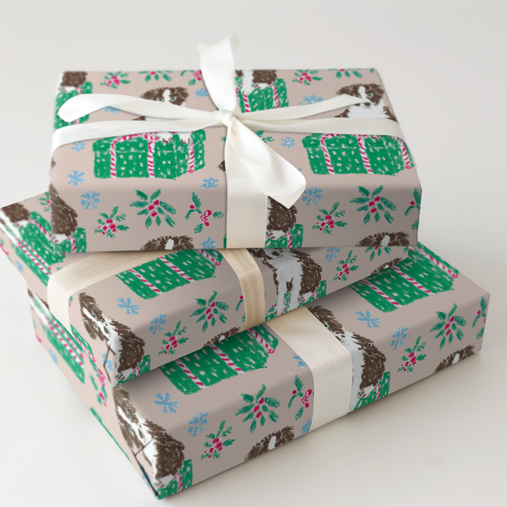 Border Collie for Christmas