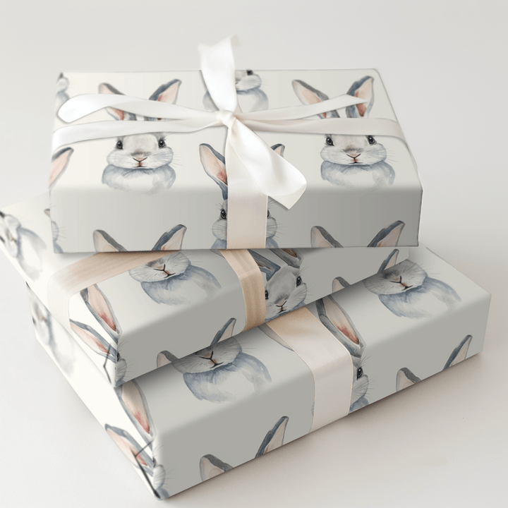 Eggstra Fluffy - Wrapping Paper - Aspen & Arlo
