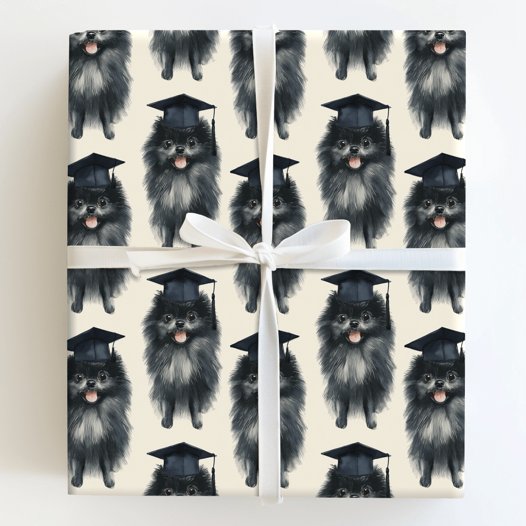 Black Pomeranian Graduate - Wrapping Paper - Aspen & Arlo