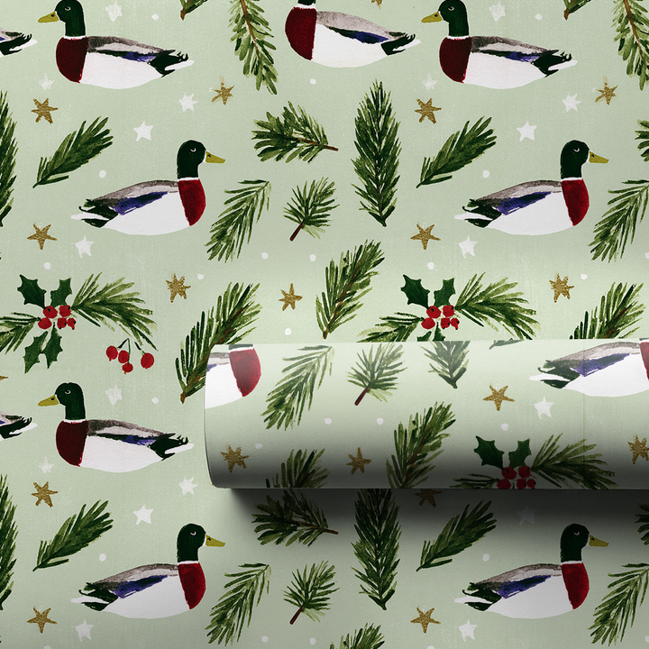 Mallard Holiday