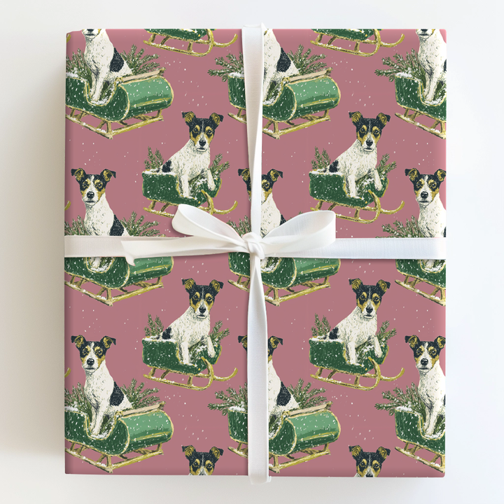Rat Terrier Sleigh Ride