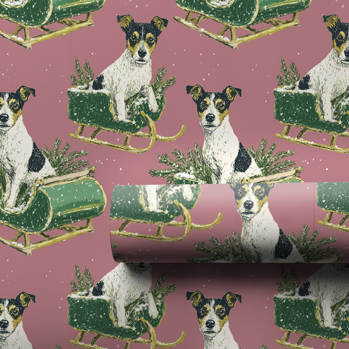 Rat Terrier Sleigh Ride