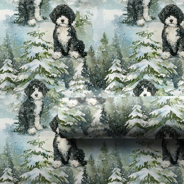 Snow Day for Portuguese Water Dogs