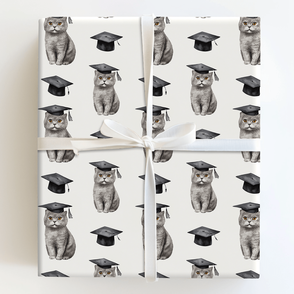 British Shorthair Graduate - Wrapping Paper - Aspen & Arlo