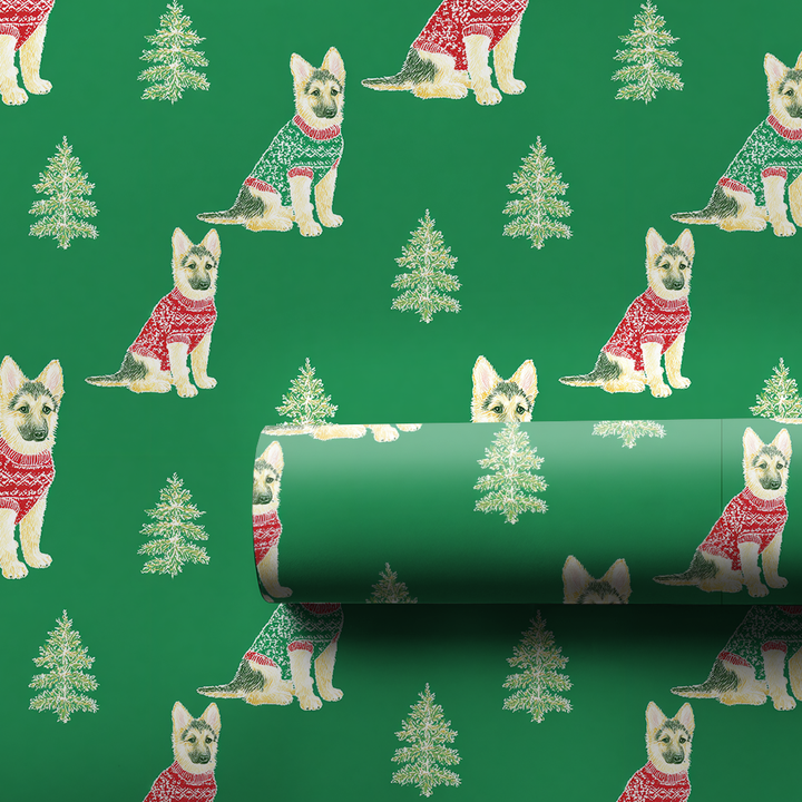 Shepherd in a Sweater