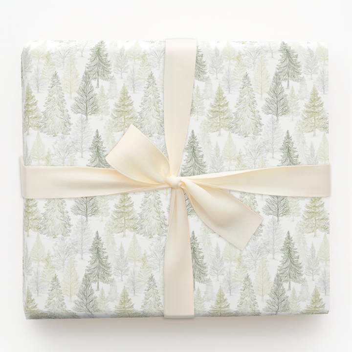 Frosted Evergreen Forest