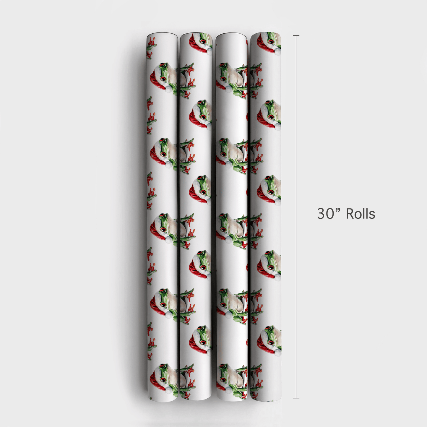 Santa Frog - Wrapping Paper - Aspen & Arlo