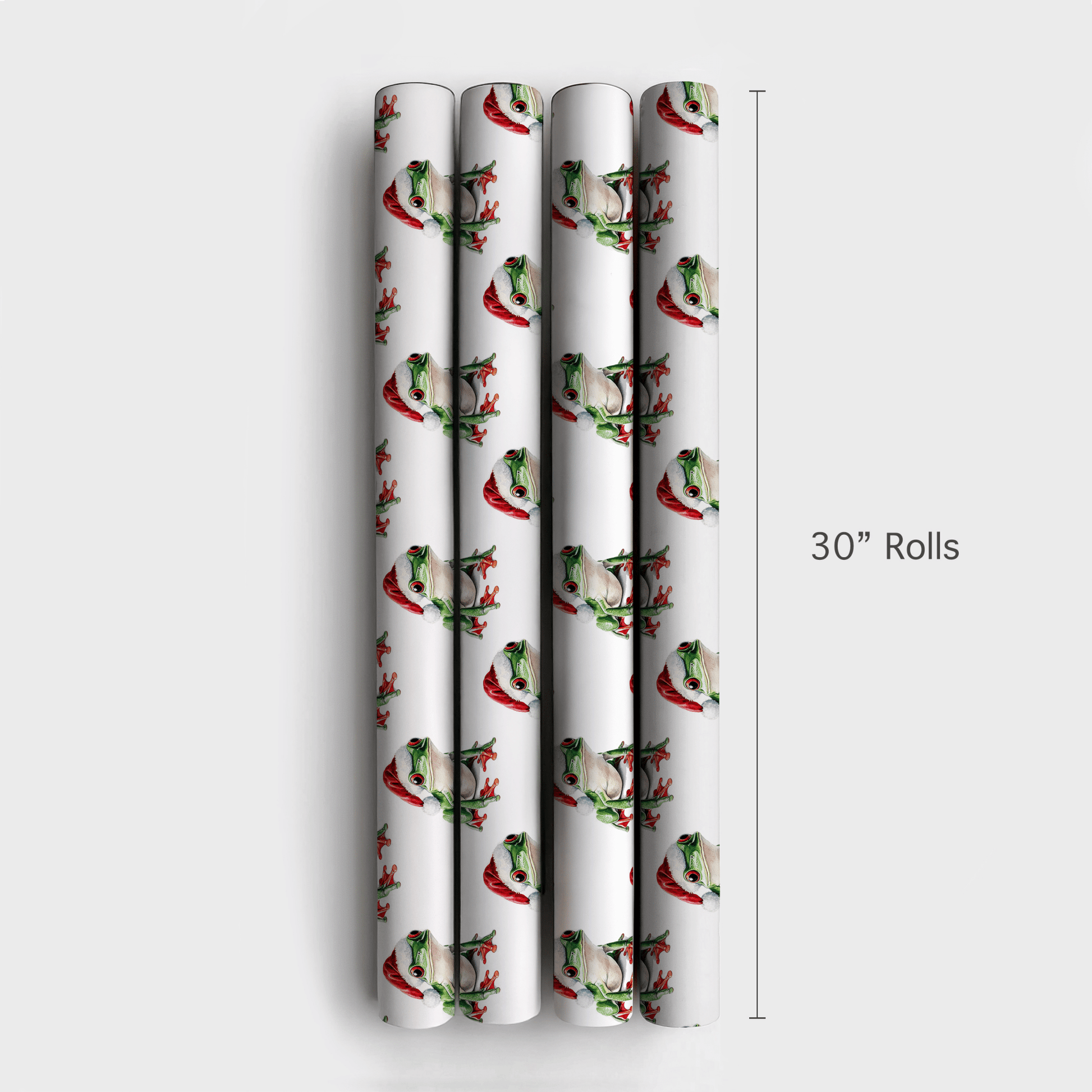 Santa Frog - Wrapping Paper - Aspen & Arlo