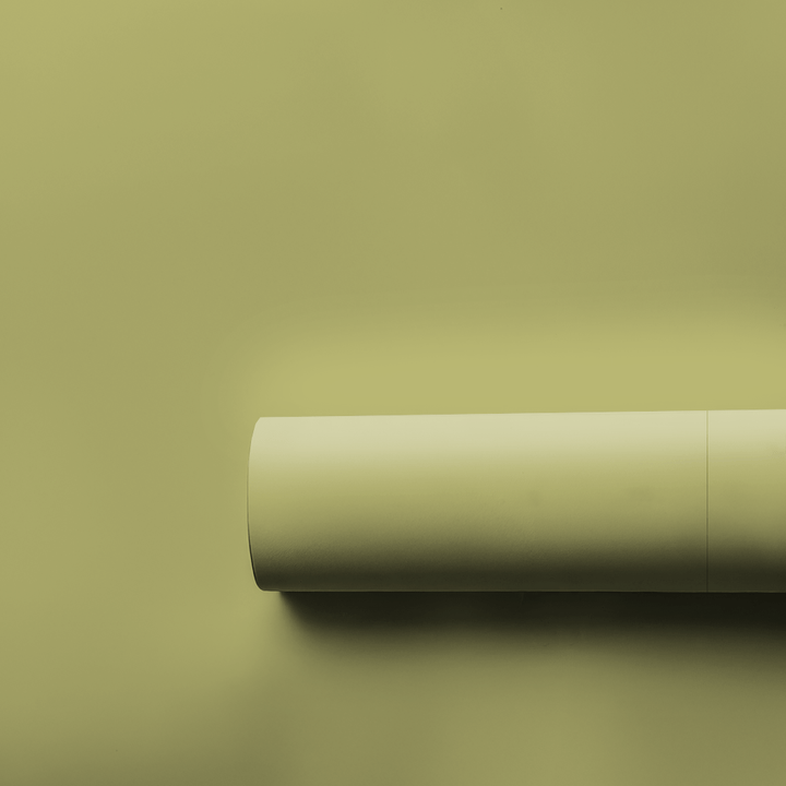 Pistachio It Away - Wrapping Paper - Aspen & Arlo