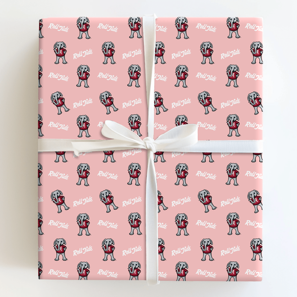 Baby Pink Alabama - Wrapping Paper - Aspen & Arlo