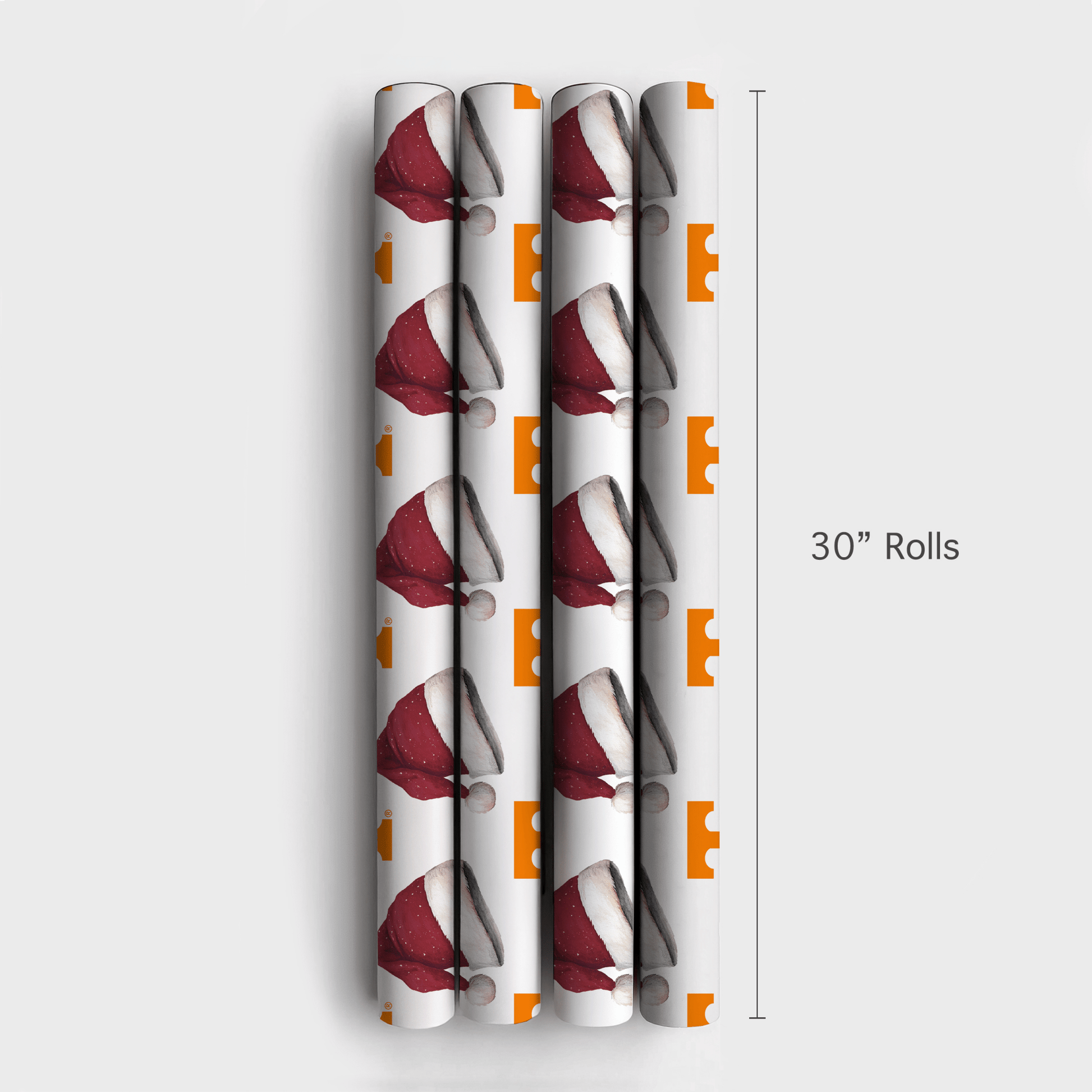 Santa on Rocky Top - Wrapping Paper - Aspen & Arlo