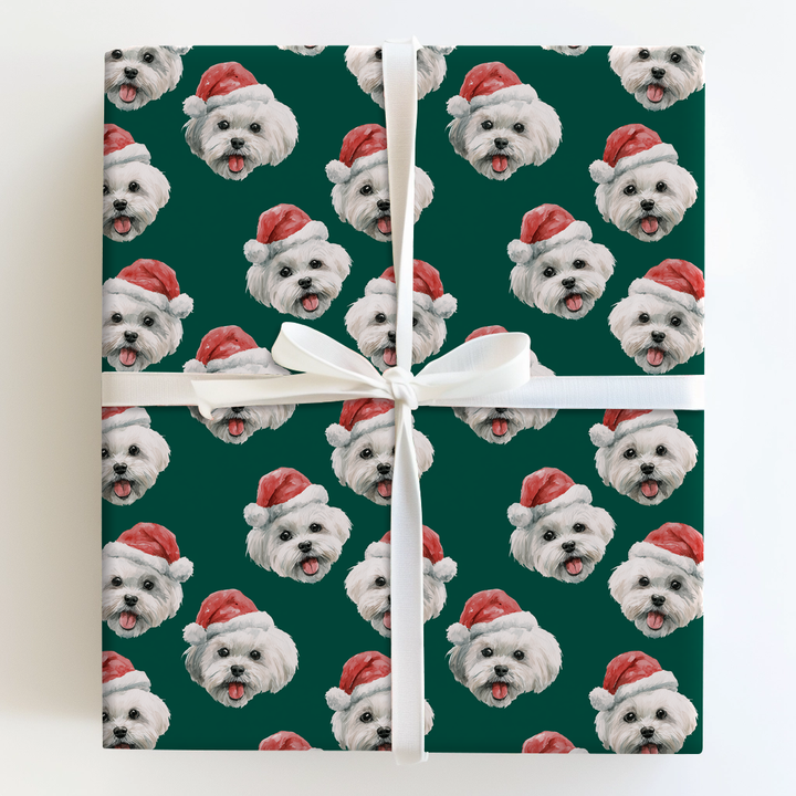 Maltese Claus