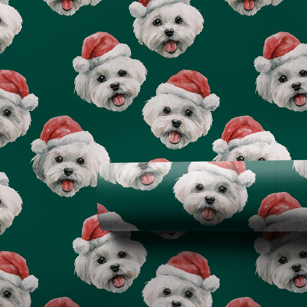 Maltese Claus