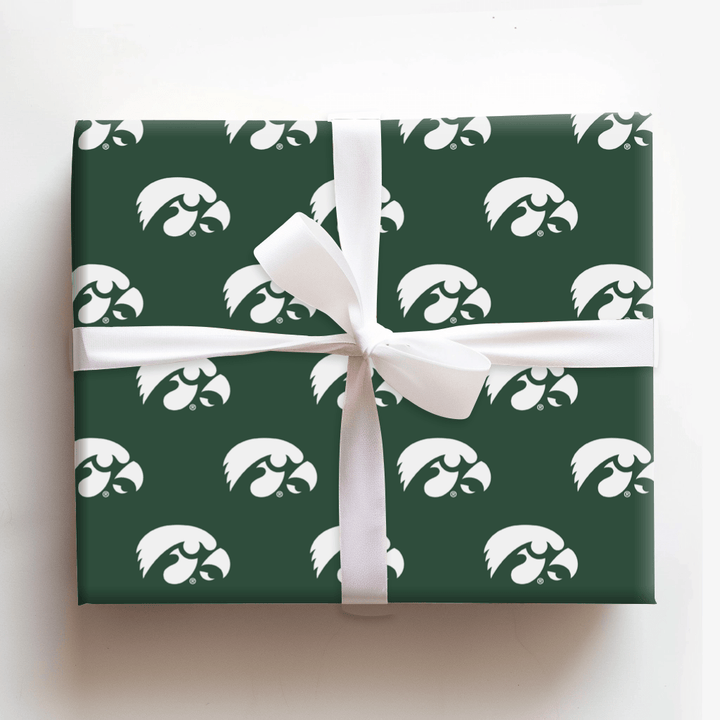 Hawkeye in the Pines - Wrapping Paper - Aspen & Arlo