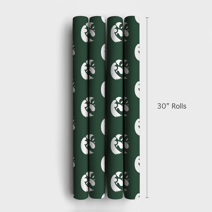 Hawkeye in the Pines - Wrapping Paper - Aspen & Arlo