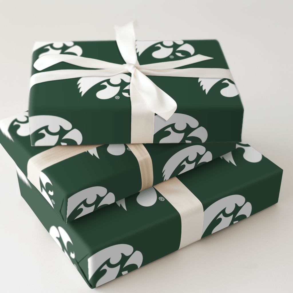 Hawkeye in the Pines - Wrapping Paper - Aspen & Arlo