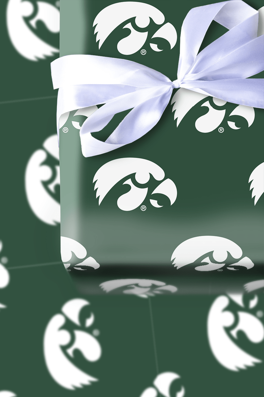 Hawkeye in the Pines - Wrapping Paper - Aspen & Arlo