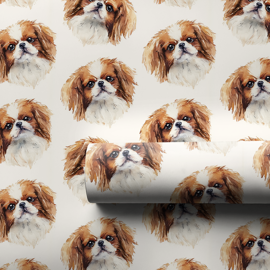 Sable Japanese Chin