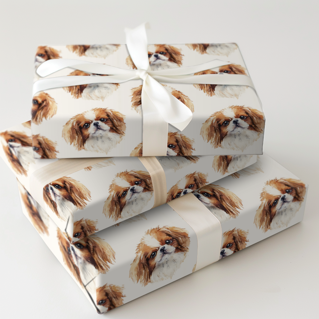Sable Japanese Chin