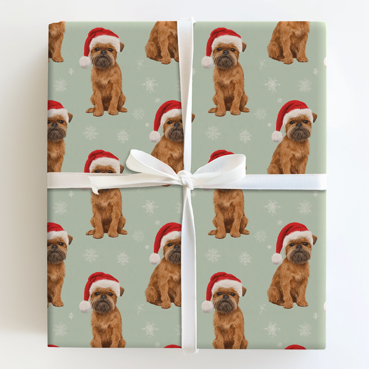 Snowflakes & Brussels Griffon