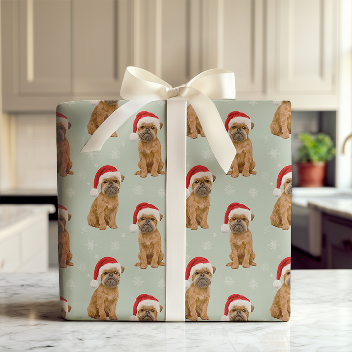 Snowflakes & Brussels Griffon