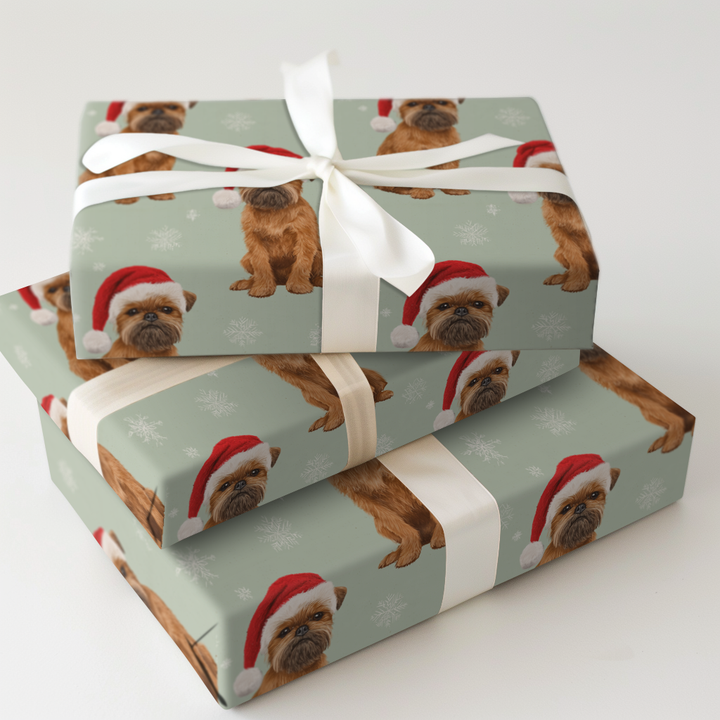 Snowflakes & Brussels Griffon