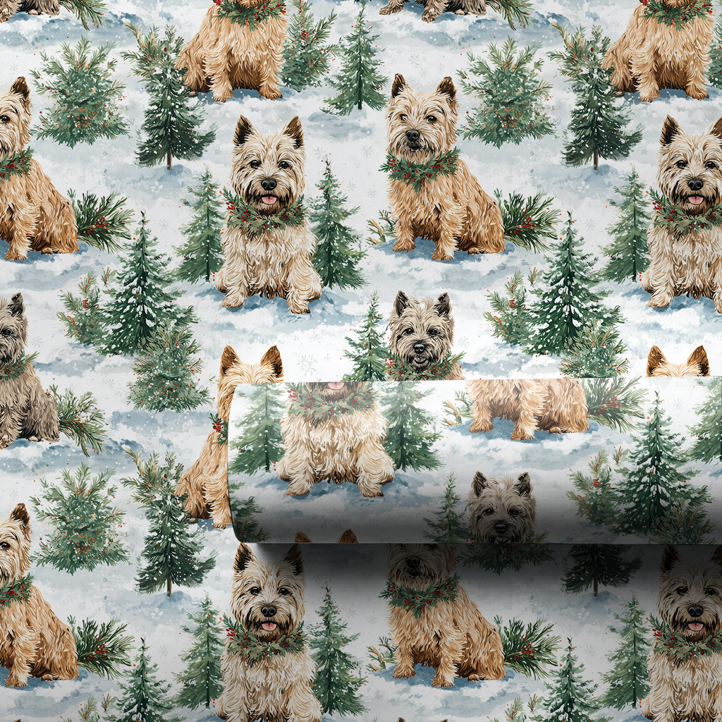 Snow Day for the Cairn Terrier