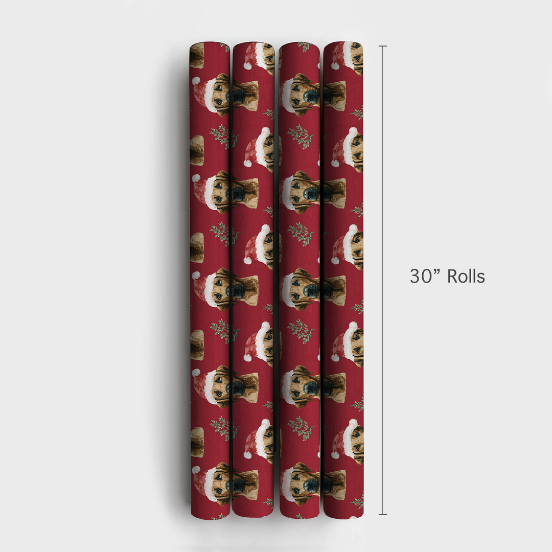 Ridgebacks in Red