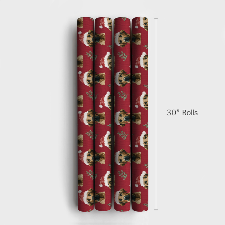 Ridgebacks in Red