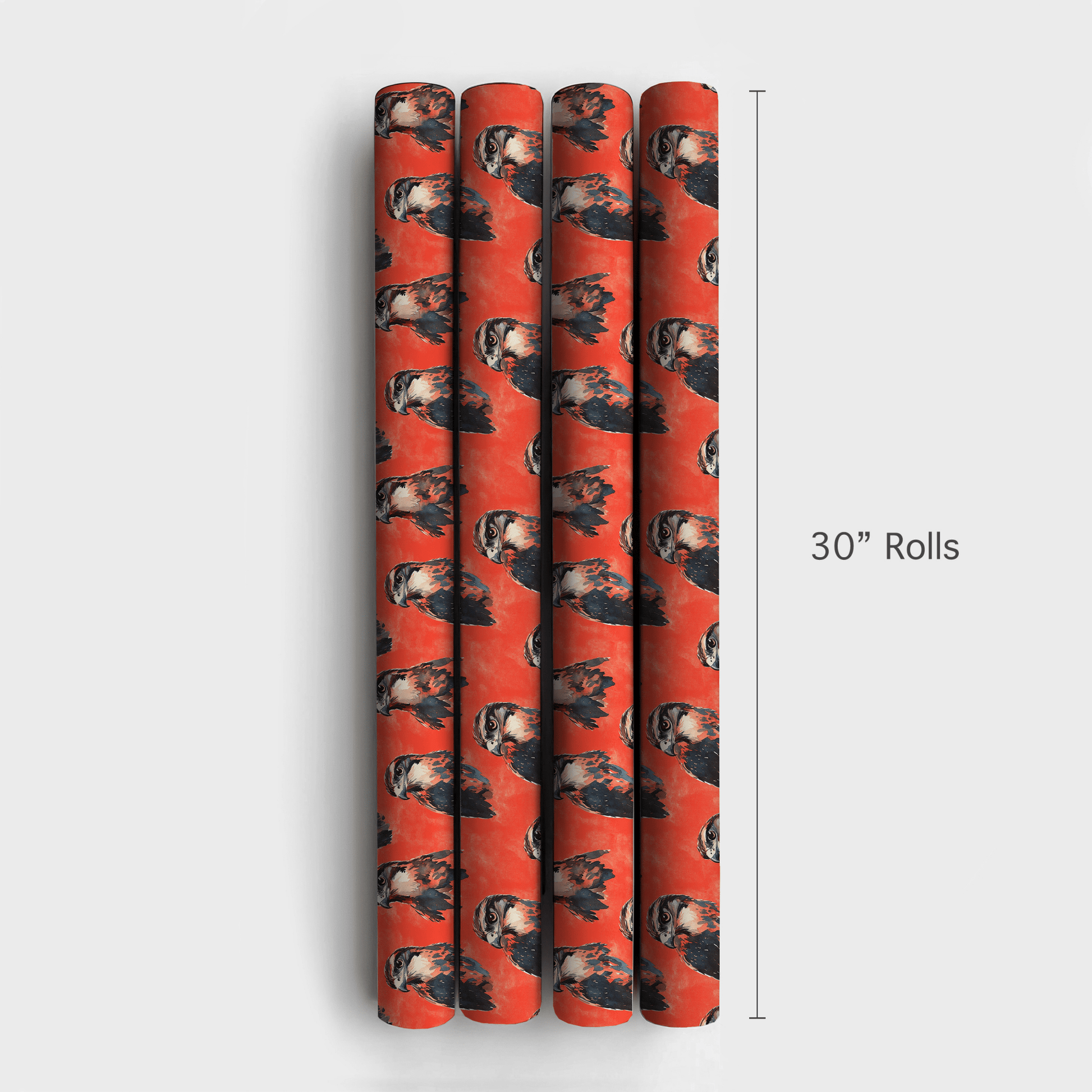 Fight Win Falcon - Wrapping Paper - Aspen & Arlo
