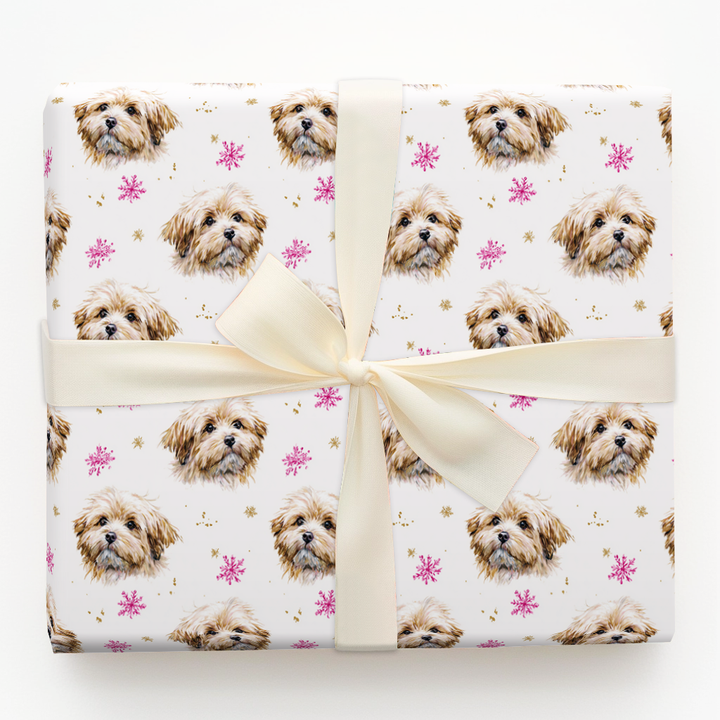 Pink and Gold Havanese