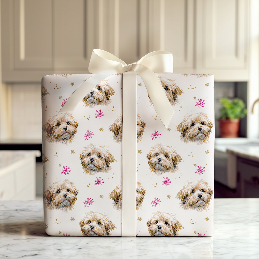 Pink and Gold Havanese