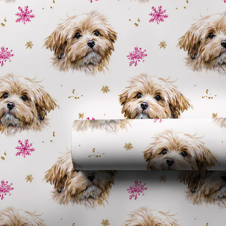 Pink and Gold Havanese