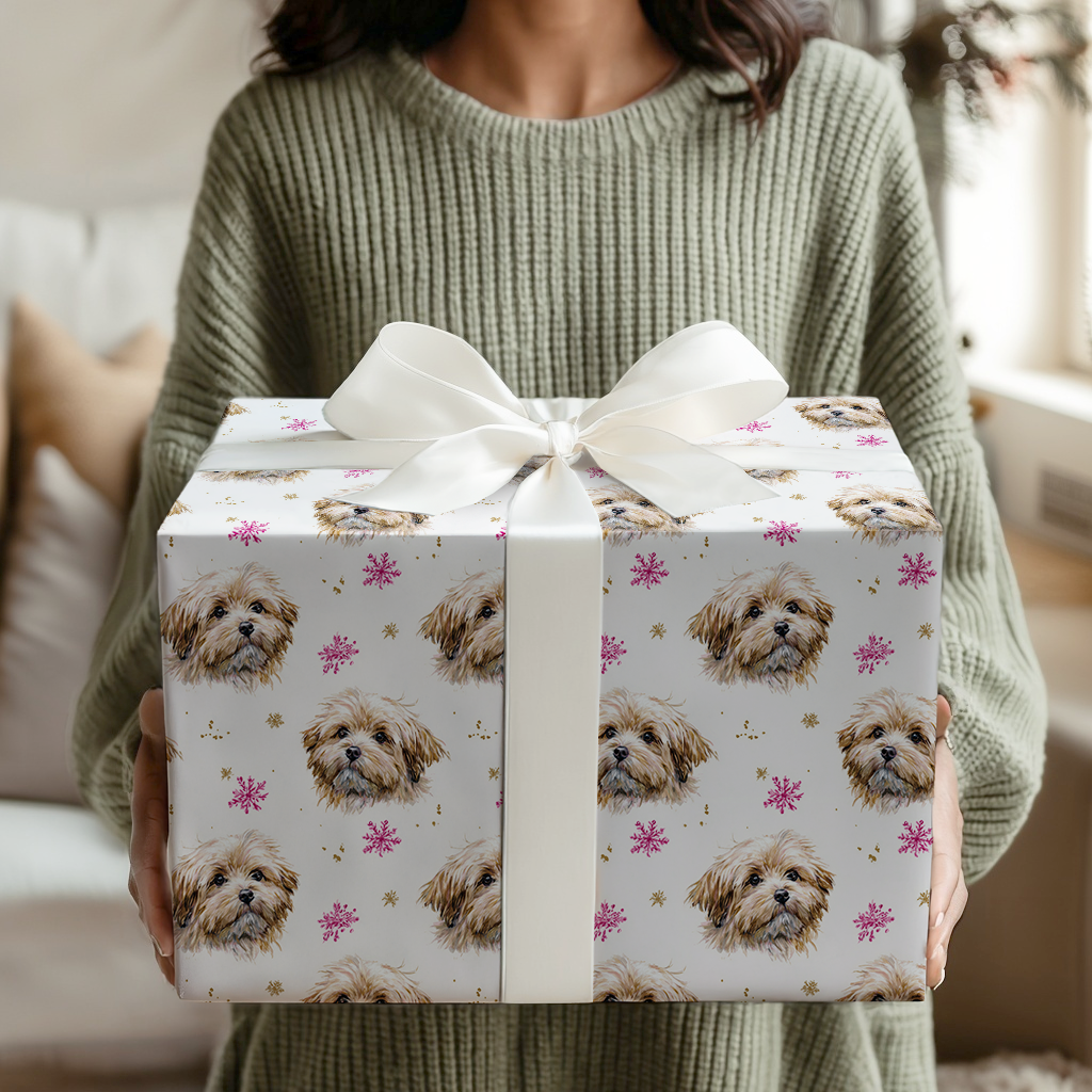 Pink and Gold Havanese