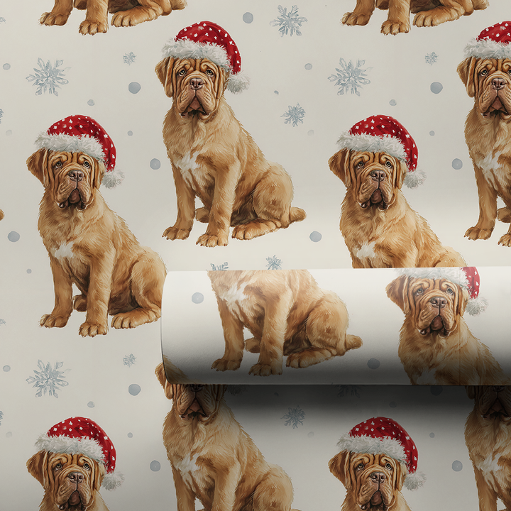Baby French Mastiff Claus