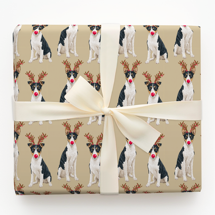 Rudolph Basenjis