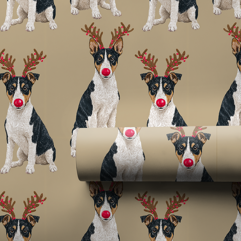 Rudolph Basenjis
