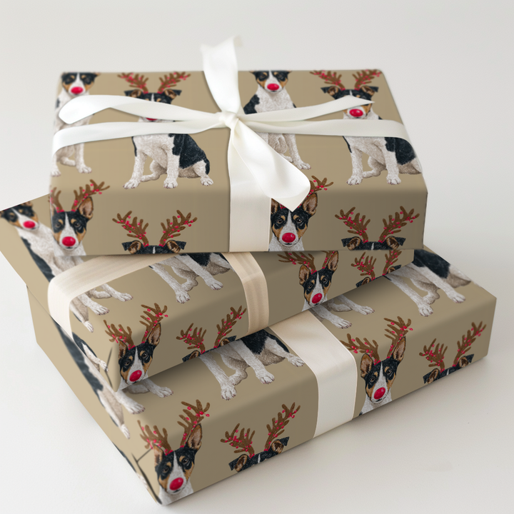 Rudolph Basenjis
