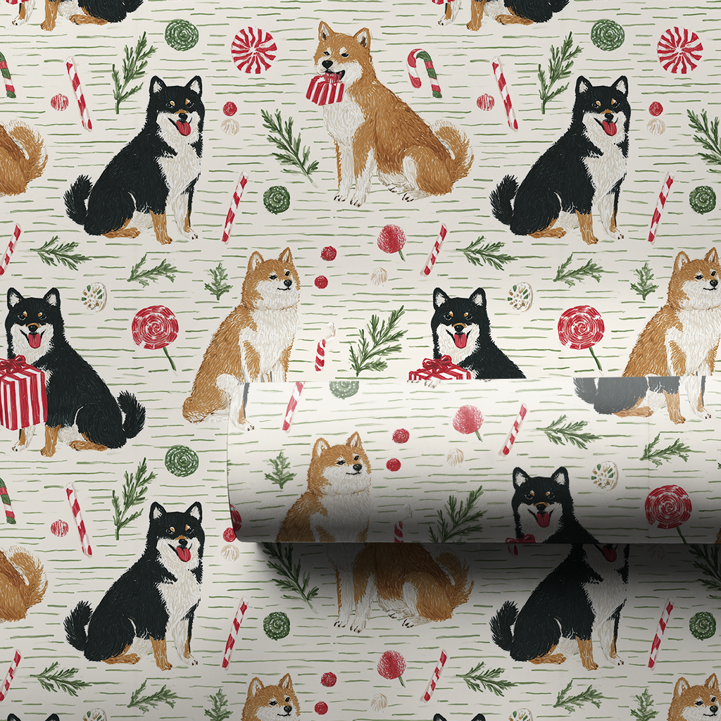 Shiba Present Showdown