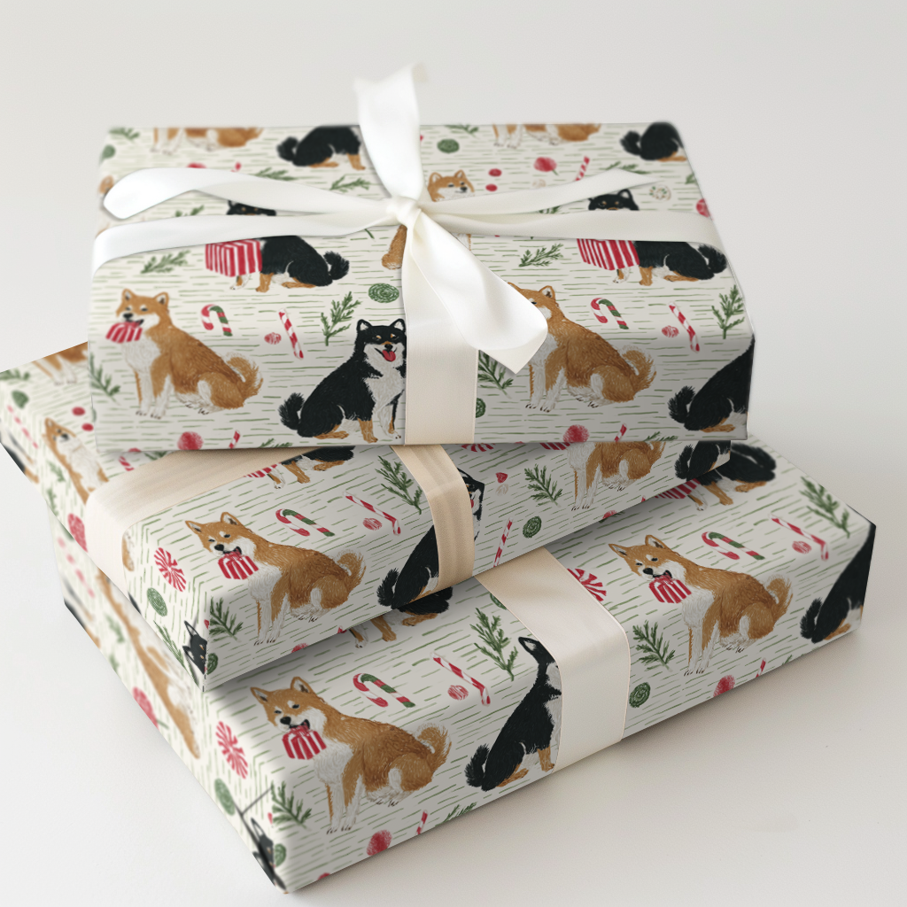 Shiba Present Showdown