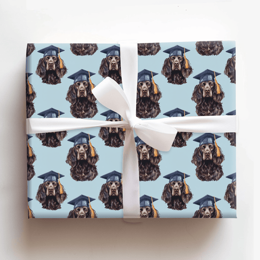 Boykin Brilliance - Wrapping Paper - Aspen & Arlo