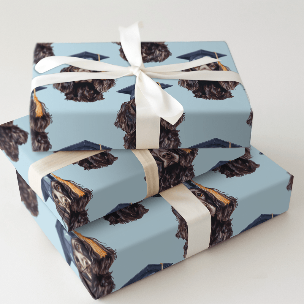Boykin Brilliance - Wrapping Paper - Aspen & Arlo