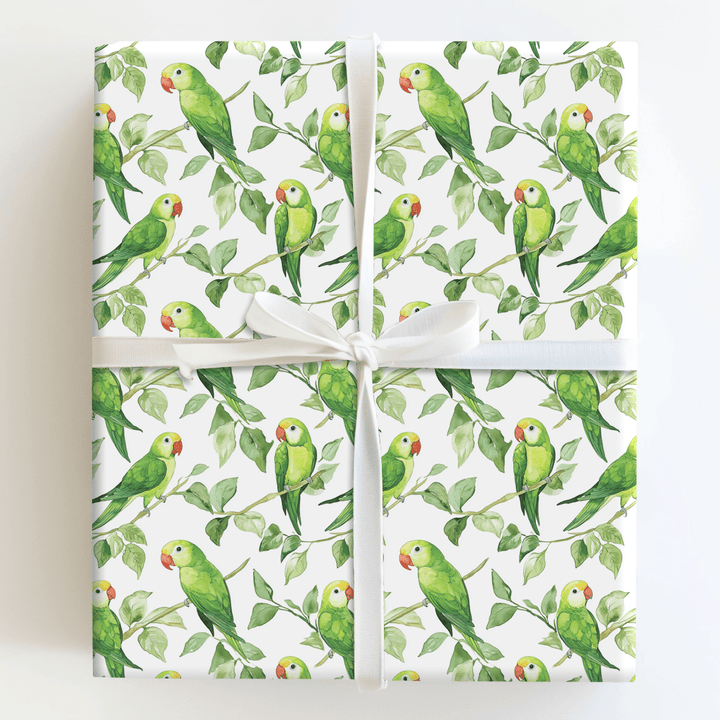 Singing Green - Wrapping Paper - Aspen & Arlo