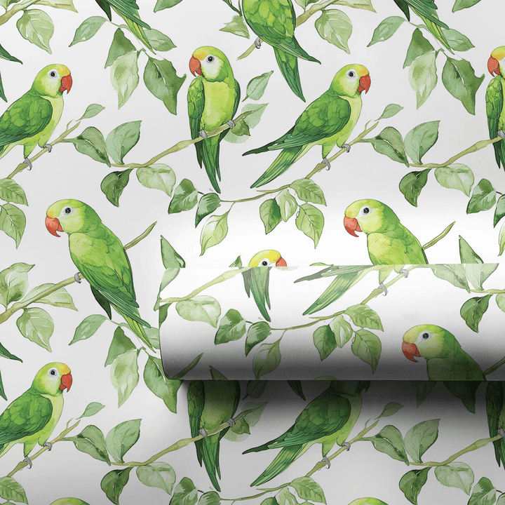 Singing Green - Wrapping Paper - Aspen & Arlo
