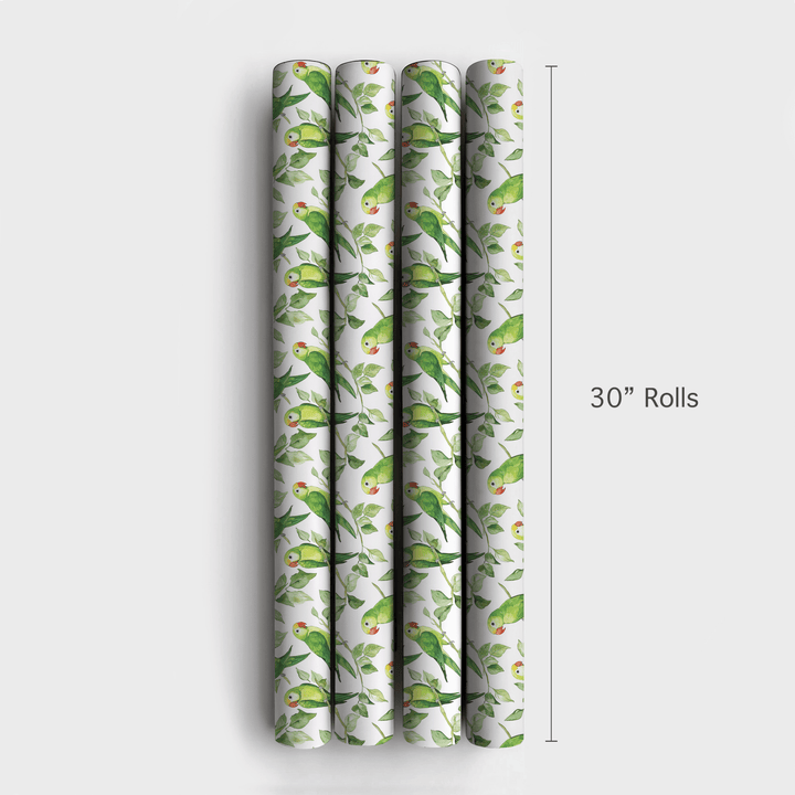 Singing Green - Wrapping Paper - Aspen & Arlo